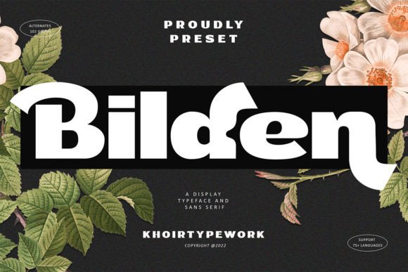 Bilden: A Chic Bold Display Font for Scroll-Stopping Visuals